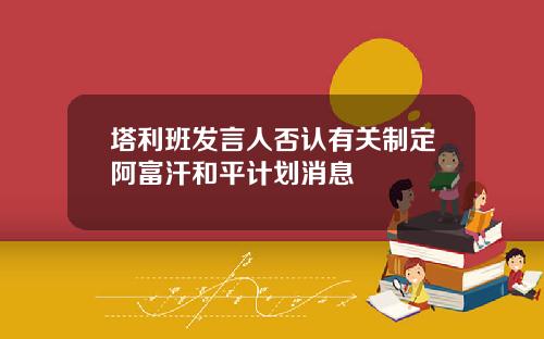 塔利班发言人否认有关制定阿富汗和平计划消息