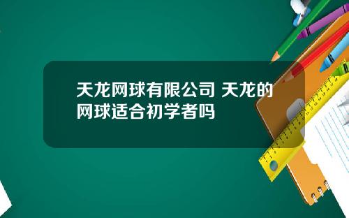天龙网球有限公司 天龙的网球适合初学者吗