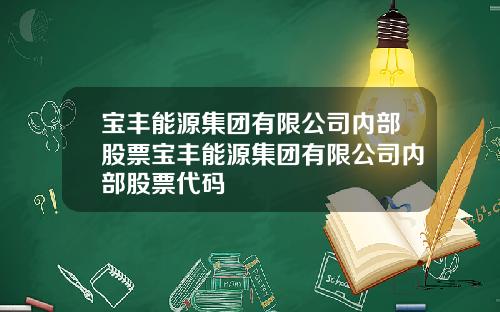 宝丰能源集团有限公司内部股票宝丰能源集团有限公司内部股票代码