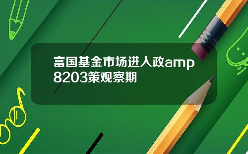 富国基金市场进入政amp8203策观察期