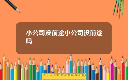 小公司没前途小公司没前途吗