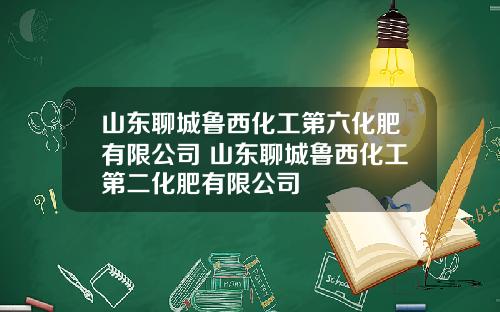 山东聊城鲁西化工第六化肥有限公司 山东聊城鲁西化工第二化肥有限公司