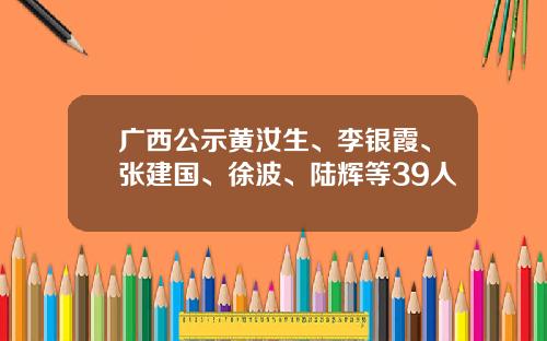 广西公示黄汝生、李银霞、张建国、徐波、陆辉等39人