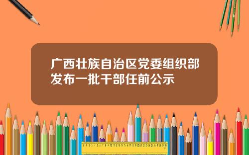 广西壮族自治区党委组织部发布一批干部任前公示