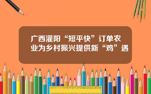 广西灌阳“短平快”订单农业为乡村振兴提供新“鸡”遇