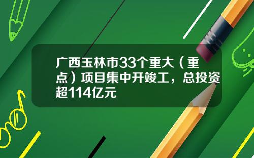 广西玉林市33个重大（重点）项目集中开竣工，总投资超114亿元