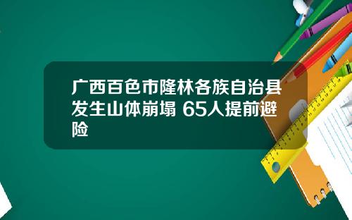 广西百色市隆林各族自治县发生山体崩塌 65人提前避险