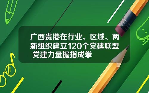 广西贵港在行业、区域、两新组织建立120个党建联盟 党建力量握指成拳