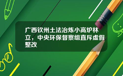广西钦州土法冶炼小高炉林立，中央环保督察组直斥虚假整改