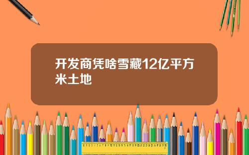 开发商凭啥雪藏12亿平方米土地