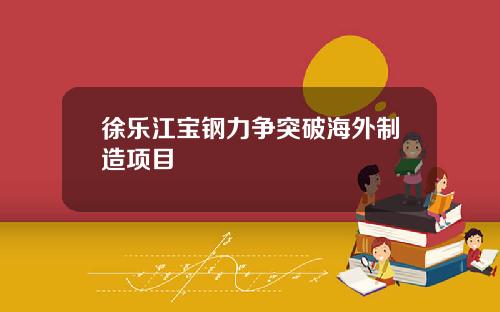 徐乐江宝钢力争突破海外制造项目