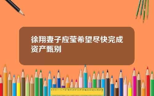 徐翔妻子应莹希望尽快完成资产甄别