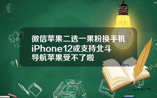 微信苹果二选一果粉换手机iPhone12或支持北斗导航苹果受不了啦
