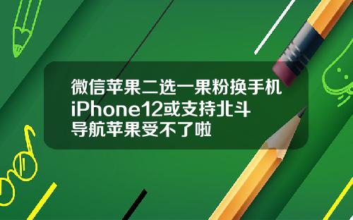 微信苹果二选一果粉换手机iPhone12或支持北斗导航苹果受不了啦