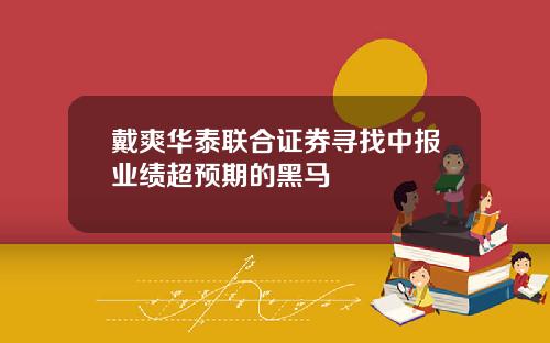 戴爽华泰联合证券寻找中报业绩超预期的黑马