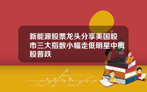 新能源股票龙头分享美国股市三大指数小幅走低明星中概股普跌