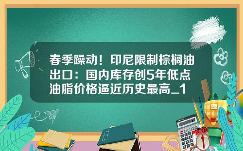 春季躁动！印尼限制棕榈油出口：国内库存创5年低点 油脂价格逼近历史最高_1