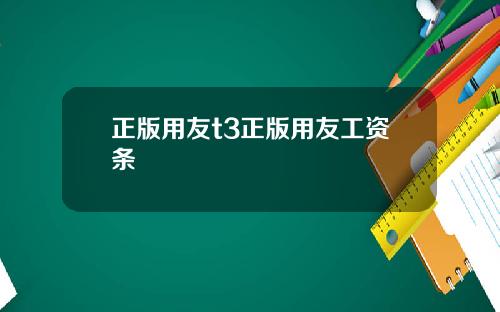 正版用友t3正版用友工资条