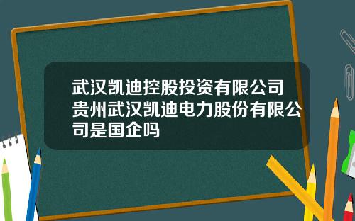 武汉凯迪控股投资有限公司贵州武汉凯迪电力股份有限公司是国企吗