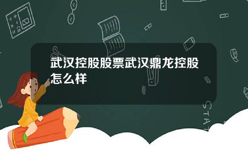 武汉控股股票武汉鼎龙控股怎么样
