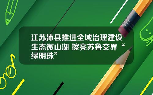 江苏沛县推进全域治理建设生态微山湖 擦亮苏鲁交界“绿明珠”