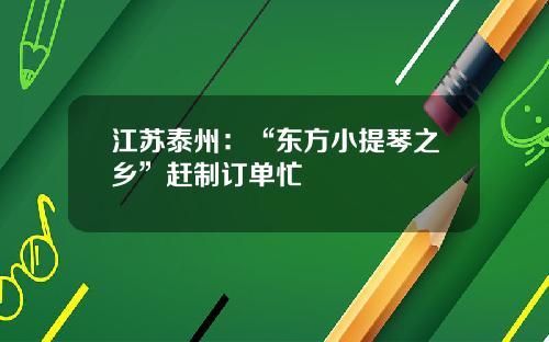 江苏泰州：“东方小提琴之乡”赶制订单忙