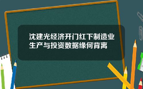 沈建光经济开门红下制造业生产与投资数据缘何背离