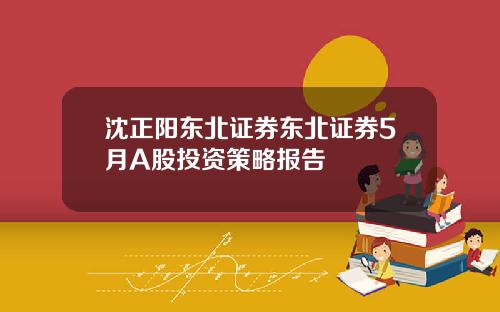 沈正阳东北证券东北证券5月A股投资策略报告
