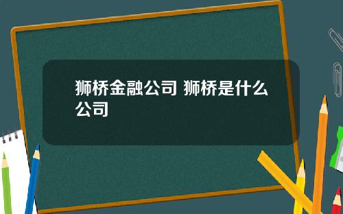 狮桥金融公司 狮桥是什么公司