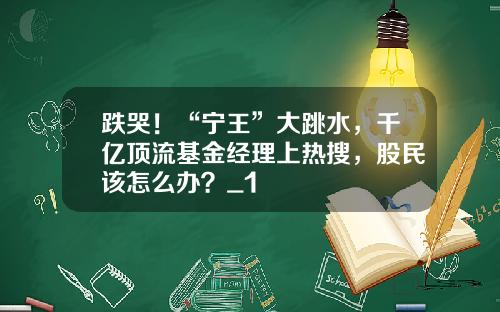 跌哭！“宁王”大跳水，千亿顶流基金经理上热搜，股民该怎么办？_1