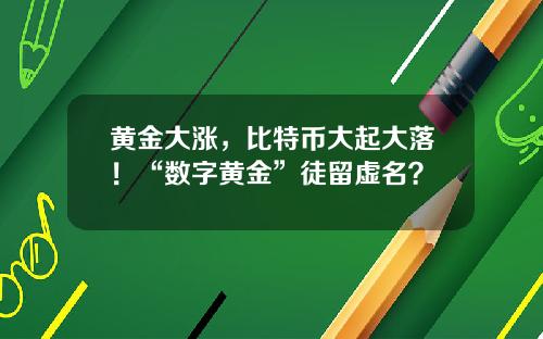 黄金大涨，比特币大起大落！“数字黄金”徒留虚名？
