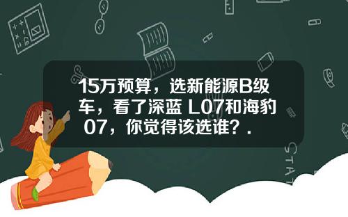 15万预算，选新能源B级车，看了深蓝 L07和海豹 07，你觉得该选谁？.