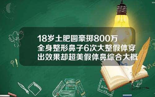 18岁土肥圆豪掷800万全身整形鼻子6次大整假体穿出效果却超美假体鼻综合大概多少钱