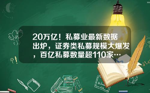 20万亿！私募业最新数据出炉，证券类私募规模大爆发，百亿私募数量超110家…-中国私募基金数量