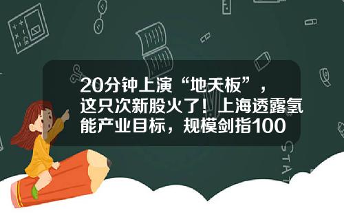 20分钟上演“地天板”，这只次新股火了！上海透露氢能产业目标，规模剑指1000亿元，上市公司布局浮出水面，高增长潜力股名单请收藏-最新的股票资讯看哪里