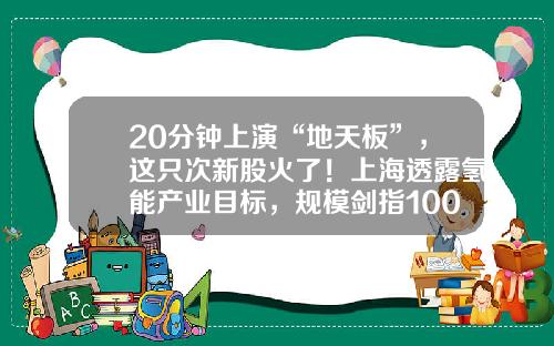 20分钟上演“地天板”，这只次新股火了！上海透露氢能产业目标，规模剑指1000亿元，上市公司布局浮出水面，高增长潜力股名单请收藏-股票资讯在哪里找