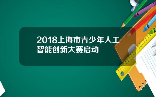 2018上海市青少年人工智能创新大赛启动