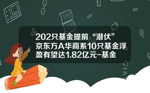 202只基金提前“潜伏”京东方A华商系10只基金浮盈有望达1.82亿元-基金华商领先