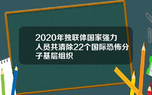 2020年独联体国家强力人员共清除22个国际恐怖分子基层组织