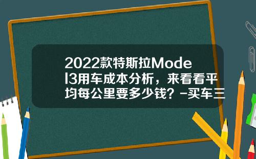 2022款特斯拉Model3用车成本分析，来看看平均每公里要多少钱？-买车三年分期光保险要多少钱