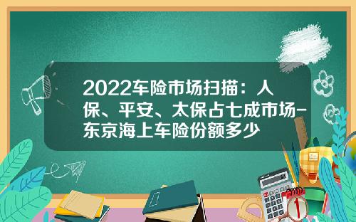 2022车险市场扫描：人保、平安、太保占七成市场-东京海上车险份额多少