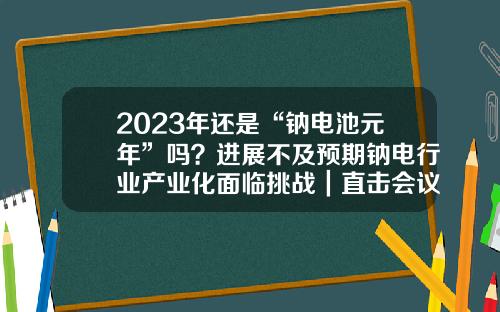2023年还是“钠电池元年”吗？进展不及预期钠电行业产业化面临挑战｜直击会议现场-维科能源电池有限公司