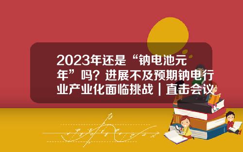 2023年还是“钠电池元年”吗？进展不及预期钠电行业产业化面临挑战｜直击会议现场-苏恒科技股份公司官网
