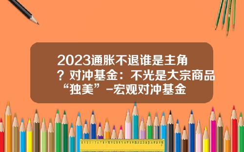 2023通胀不退谁是主角？对冲基金：不光是大宗商品“独美”-宏观对冲基金