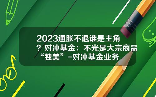 2023通胀不退谁是主角？对冲基金：不光是大宗商品“独美”-对冲基金业务