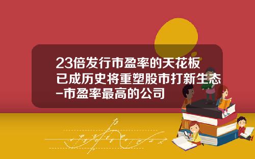 23倍发行市盈率的天花板已成历史将重塑股市打新生态-市盈率最高的公司