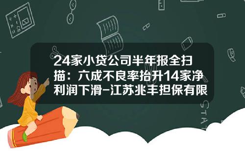 24家小贷公司半年报全扫描：六成不良率抬升14家净利润下滑-江苏兆丰担保有限公司