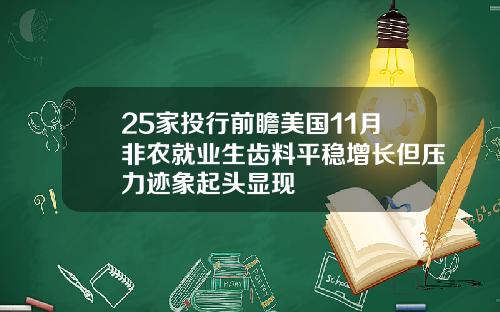 25家投行前瞻美国11月非农就业生齿料平稳增长但压力迹象起头显现