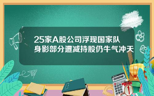 25家A股公司浮现国家队身影部分遭减持股仍牛气冲天