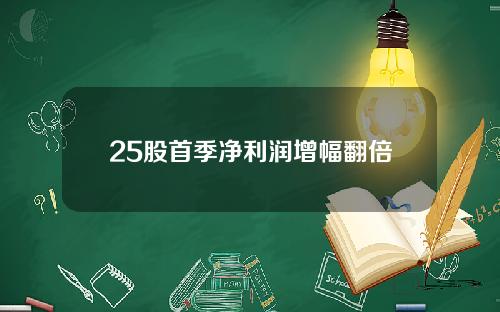 25股首季净利润增幅翻倍